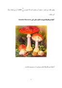دانلود مقاله بررسی کامل در مورد قارچ ها صفحه 9 