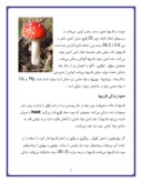 مقاله در مورد بررسی تولید و پرورش قارچ خوراکی صفحه 9 