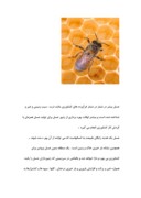 مقاله در مورد عسل صفحه 7 