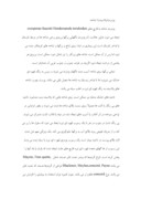 مقاله در مورد درخت فندق و درخت گردوی ایرانی صفحه 6 