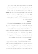 مقاله در مورد درخت فندق و درخت گردوی ایرانی صفحه 7 