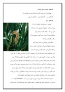 مقاله در مورد خصوصیات گیاه برنج صفحه 7 