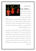 مقاله در مورد خواص گیاهان دارویی تربت جام صفحه 7 