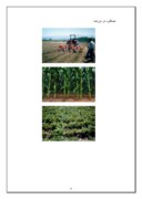 تحقیق در مورد ادوات کشاورزی صفحه 8 