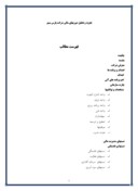 تجزیه و تحلیل صورتهای مالی شرکت پارس مینو صفحه 1 