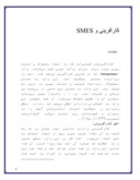 دانلود مقاله کارآفرینی و SMES صفحه 1 
