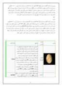 دانلود مقاله اقمار منظومه شمسی صفحه 4 