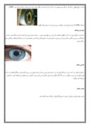 دانلود مقاله ساختمان چشم انسان صفحه 2 