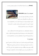 دانلود مقاله پرورش ماهی قزل آلا صفحه 5 