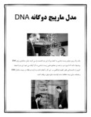 دانلود مقاله مدل مارپیچ دوگانه DNA صفحه 1 