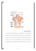دانلود مقاله عضلات همشکل سر ثابت و متحرک و عملشان صفحه 4 